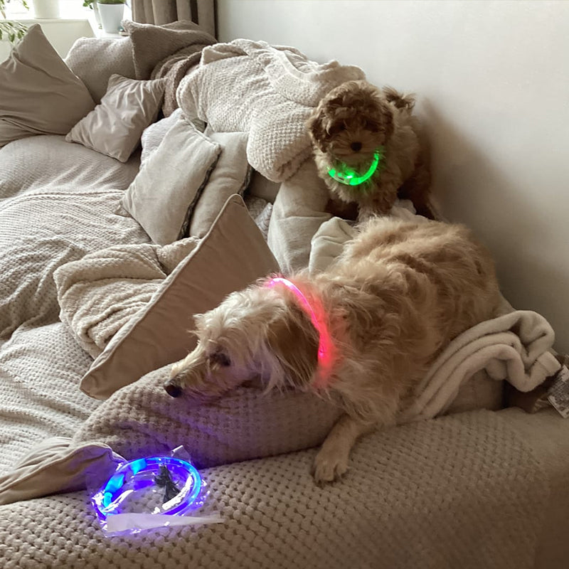 LED-Hundehalsband mit 3 Modi – USB-wiederaufladbar, abnehmbar und leuchtend; Sicherheits-Halsband für Haustiere bei Nacht.