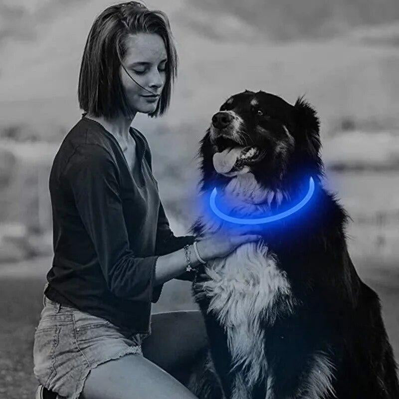 LED-Hundehalsband mit 3 Modi – USB-wiederaufladbar, abnehmbar und leuchtend; Sicherheits-Halsband für Haustiere bei Nacht.
