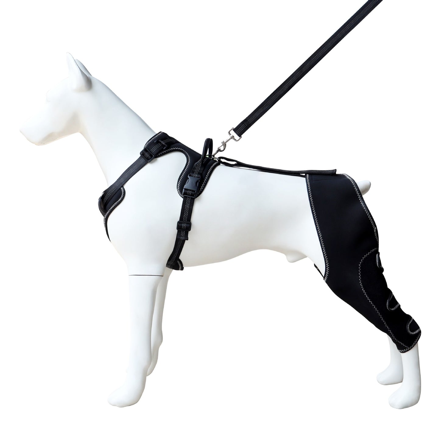 Beinstütze für Haustiere – Kniebandage für Hunde: Unterstützung nach Operationen (Rehabilitation), Kniestütze, Gelenkschutz und Stützbandage.