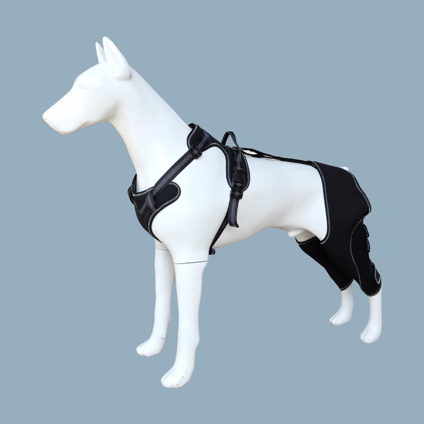 Beinstütze für Haustiere – Kniebandage für Hunde: Unterstützung nach Operationen (Rehabilitation), Kniestütze, Gelenkschutz und Stützbandage.