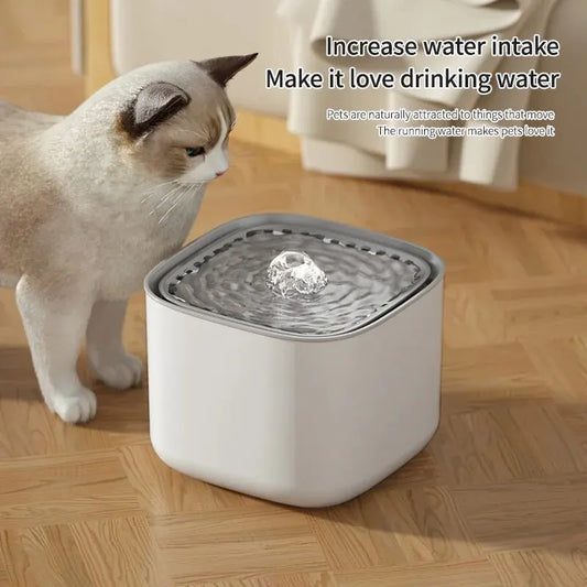 3L Trinkbrunnen für Hunde & Katzen – Automatischer Wasserspender mit Filter & USB