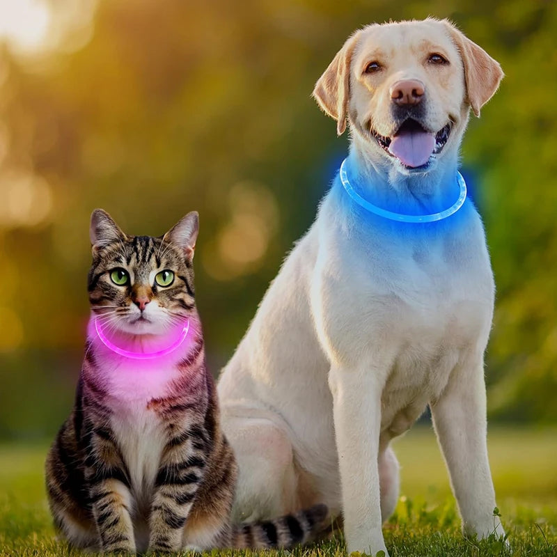 LED-Hundehalsband mit 3 Modi – USB-wiederaufladbar, abnehmbar und leuchtend; Sicherheits-Halsband für Haustiere bei Nacht.